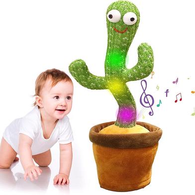 Dancing Cactus price in bangladesh